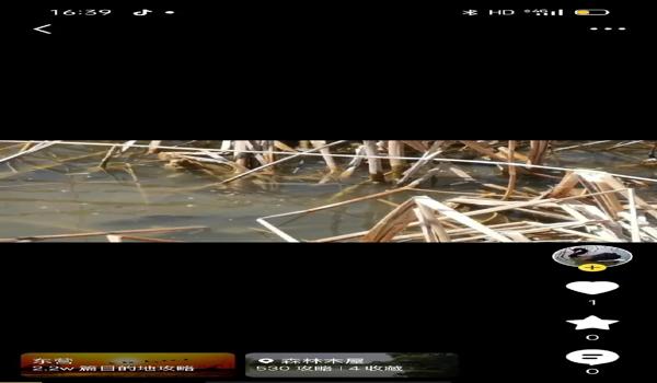 三角洲行动一键下载（给我一个三角洲行动的一键下载链接）